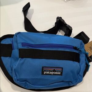Patagonia Men's Blue Belt Bag
